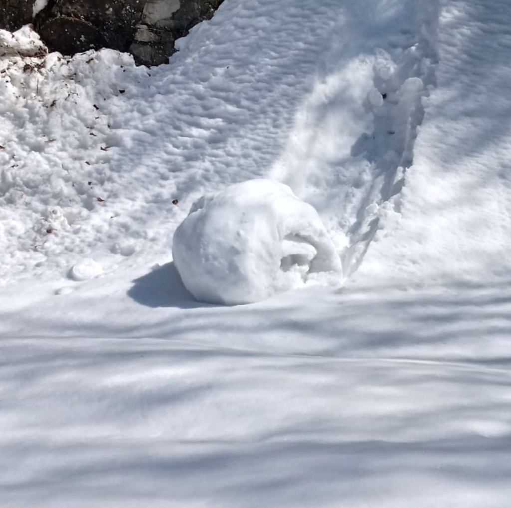 snow rollers