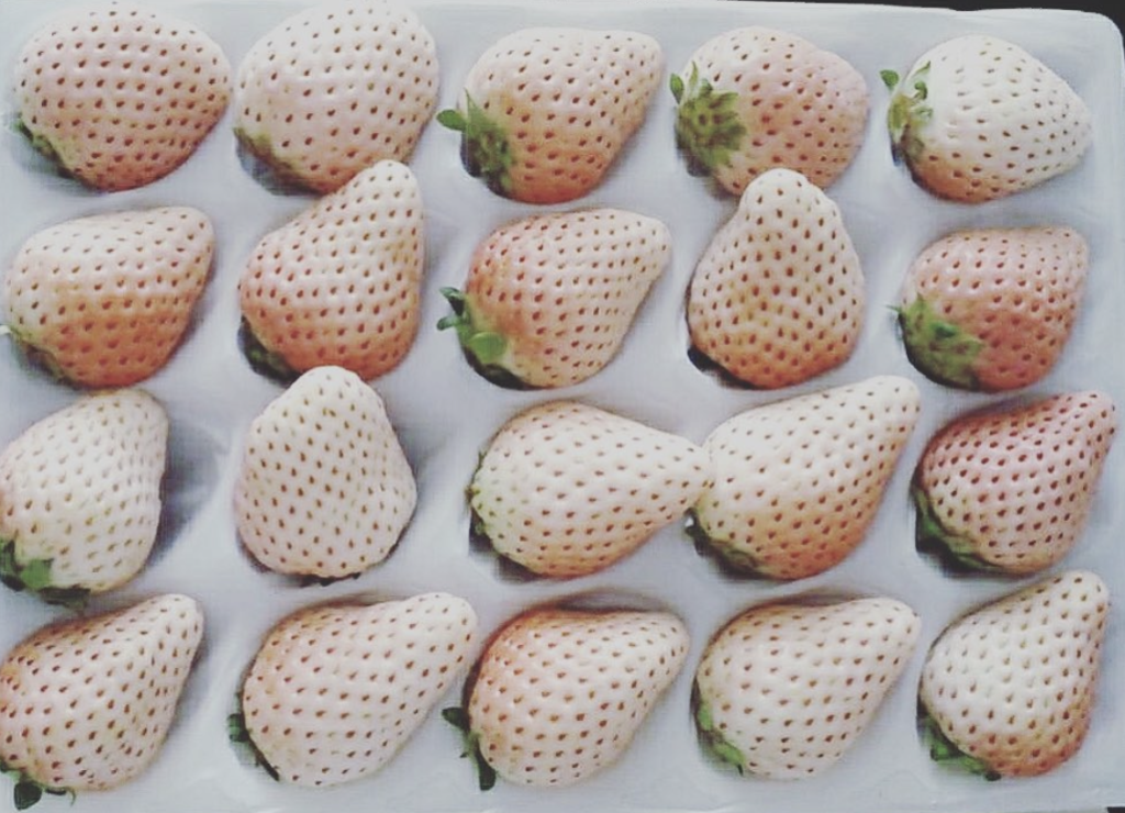 japanese white strawberry