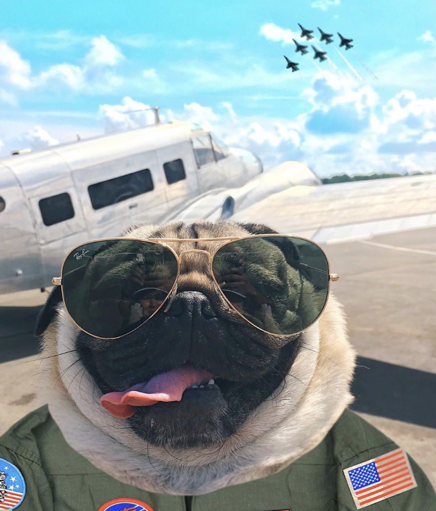 order of the pug