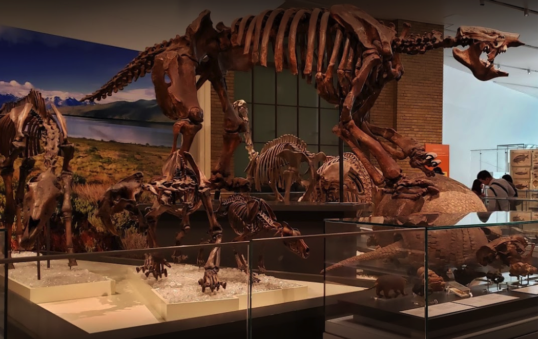 dinosaur museum toronto